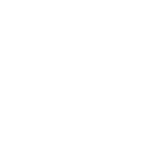 Logo_DVG