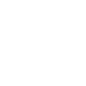Logo_Däsh