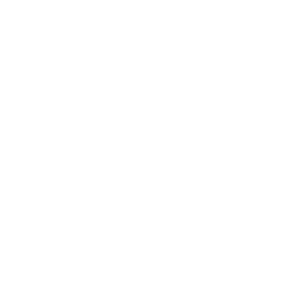Logo_Holmenkol