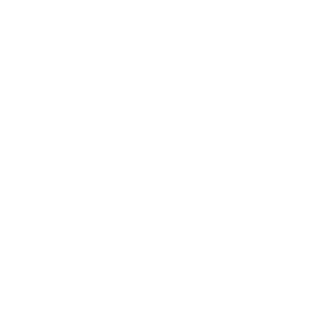 Logo_SoulStore