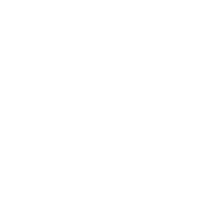Logo_TopSki
